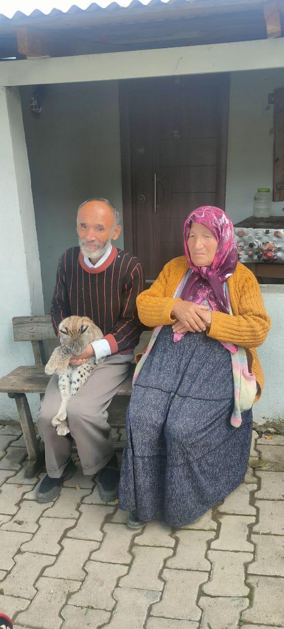 Ormanda karşılaştığı vaşak yavrusu, peşinden köye kadar geldi