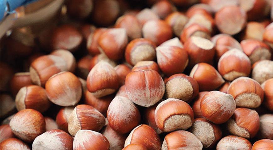 Fındıkta tüccarın bekleme oyunu