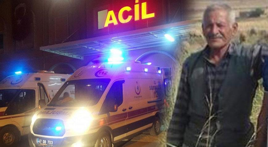 Kavgada torunuyla yaralanmıştı! 11 gün sonra acı haber geldi