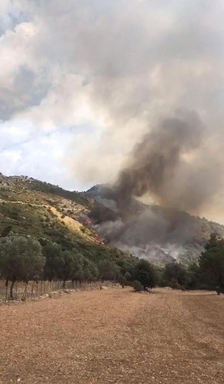 Muğla'da makilik alanda yangın! 6 uçak, 4 helikopter sevk edildi