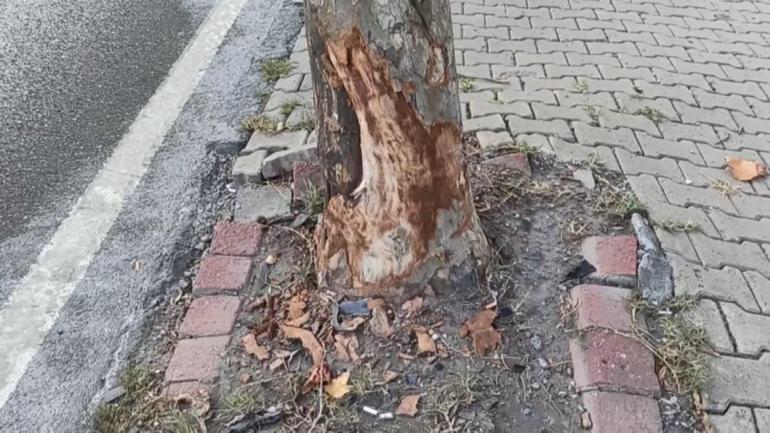 İstanbul'da gizemli kaza: Ağır ceza hakimi yaralandı! 10 dakikalık sır