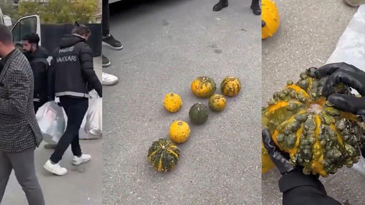 Hakkari’de 7 adet bal kabağı içerisine gizlenmiş uyuşturucu ele geçirildi