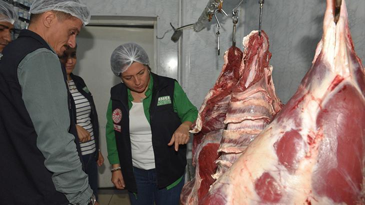 Batman’da kaçak et operasyonu: 1 ton 141 kilo et imha edildi