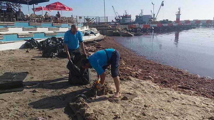 Marmara Denizi kıyılarını kızıl yosunlar sardı