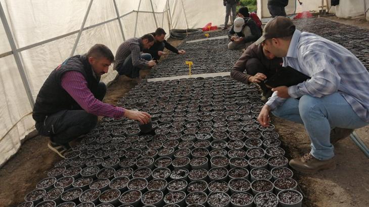 Yerli ve milli patatesin 12 yıllık süreci!