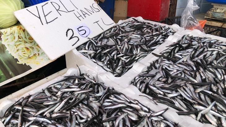 Hamsi bolluğu devam ediyor