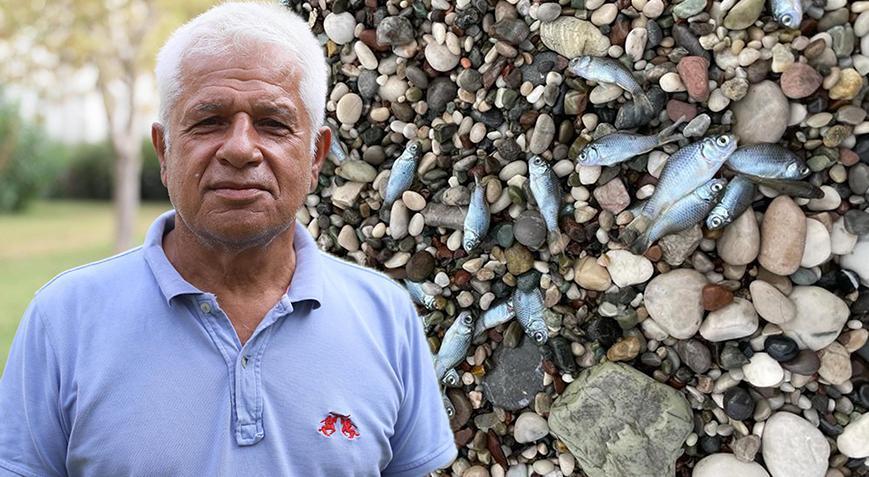 Konyaaltı Sahili’ndeki balık ölümlerine ilişkin açıklama