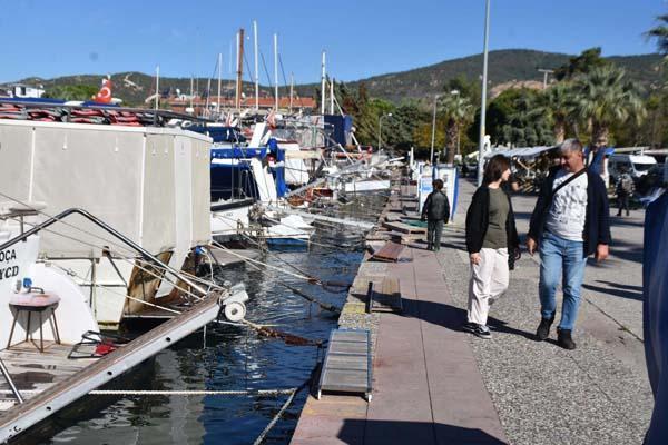 Ağustos ayından beri denizde çoğalıyorlar! Kente kimse gelmek istemiyor