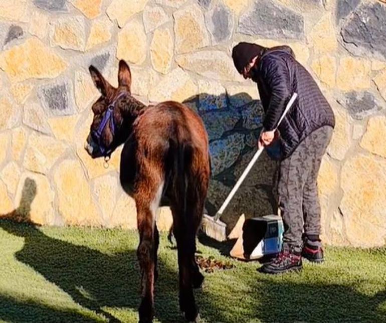 Hayko Cepkin: 13 yıldır köyde yaşıyorum, harika geçiyor günlerim!