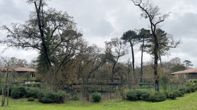 Landais Alzheimer: Bu köyde herkes demans hastası