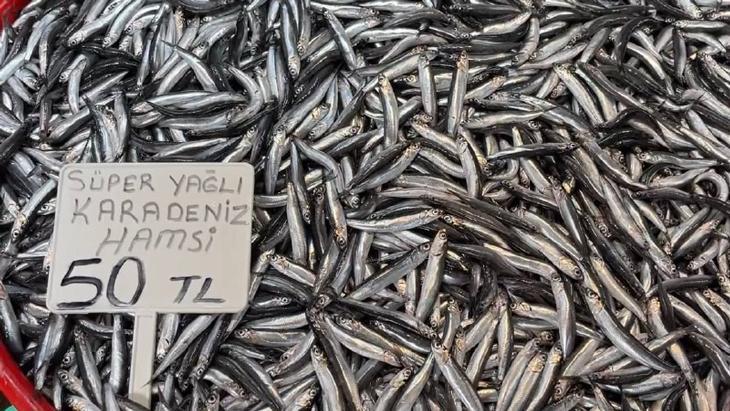 Karadeniz hamsisinde de bolluk yaşanıyor