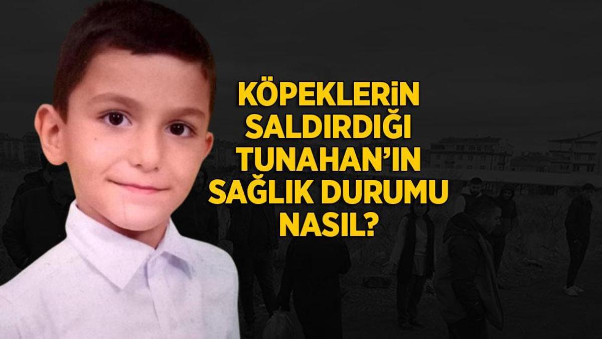 Ankara’da köpeklerin saldırısında yaralanan 10 yaşındaki Tunahan için yeni açıklamalar