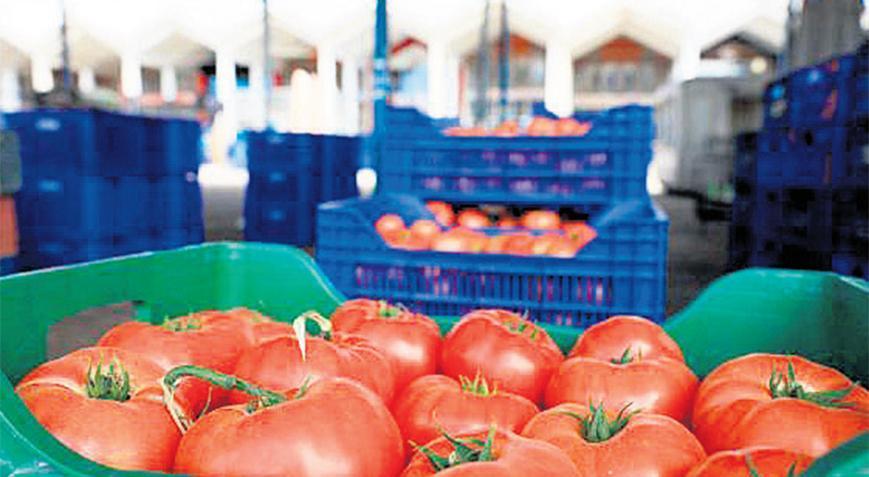 ‘İsrail tohumuna bağımlı değiliz’