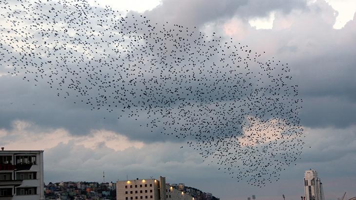 Bir anda belirdiler! Askeri düzen halinde gökyüzünü kapladılar