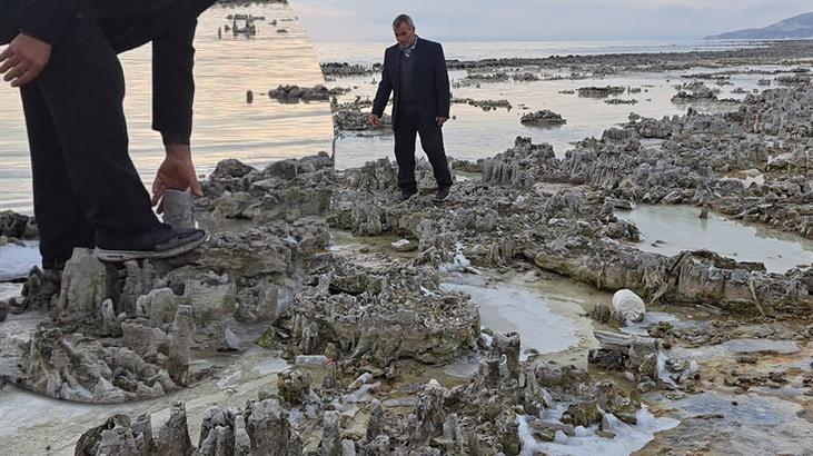 Sular çekildi: ‘Mikrobiyalit tarlası’ ortaya çıktı