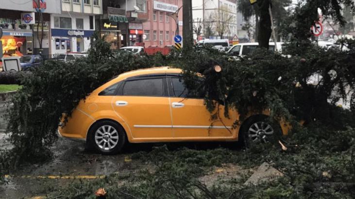 Rize ve Kastamonu’da fırtına etkili oldu! Ağaçlar devrildi, çatılar uçtu