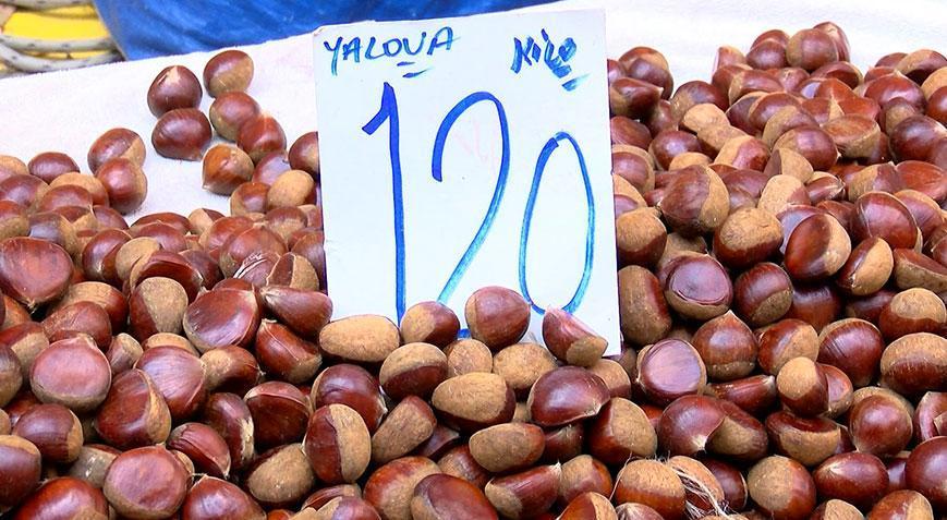 120 TL’den satılıyor, iri taneleri ile insanları cezbediyor! Sahte kestane alarmı