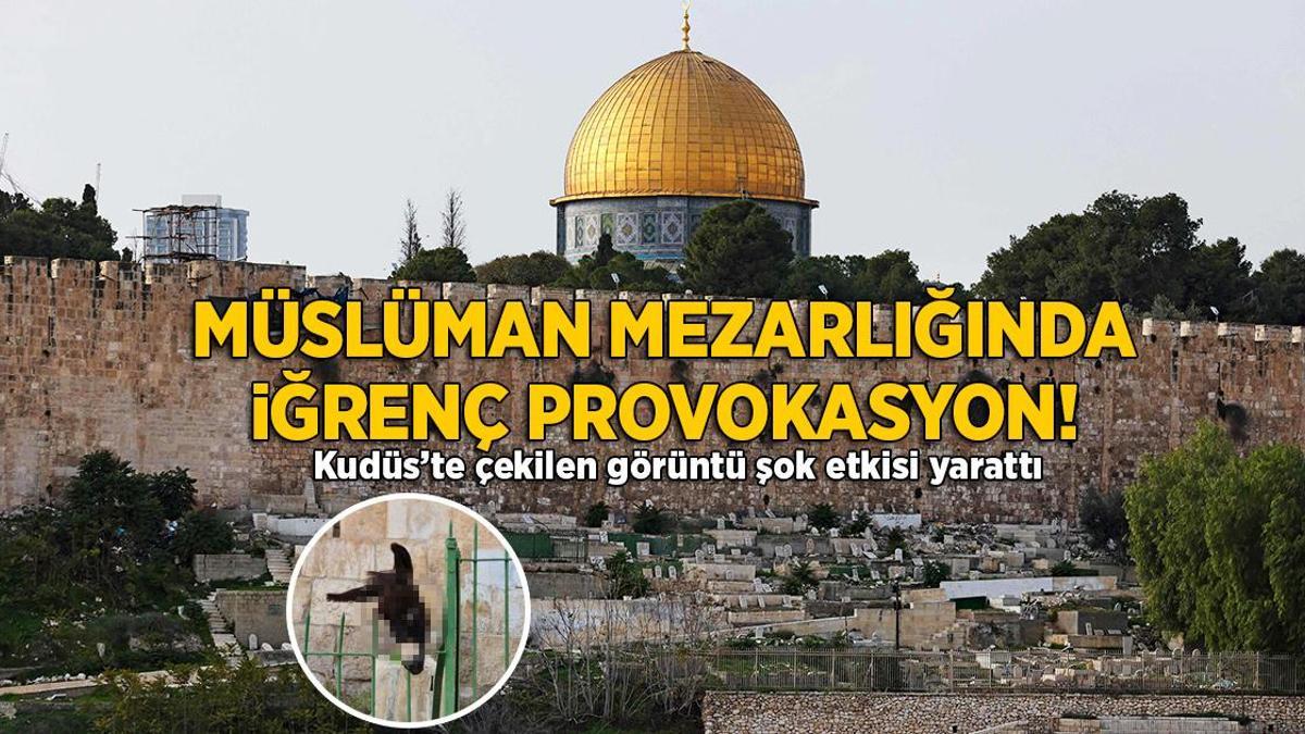 Gazze’deki savaşta son dakika… İsraillilerden Kudüs’te görülmemiş provokasyon! Kesik eşek başı astılar