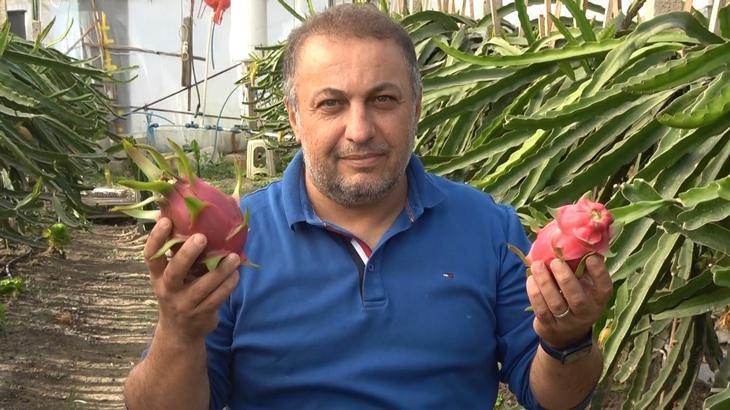 Ejder meyvesinin üreticisi oldu