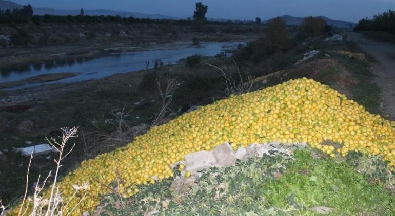 Adana’da şoke eden manzara! Tonlarca limon dere yatağına döküldü