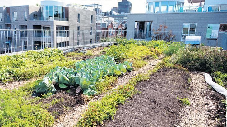 İsraf var, besleyici değil, sağlığı tehdit ediyor! Gıdada çok yönlü tehdit