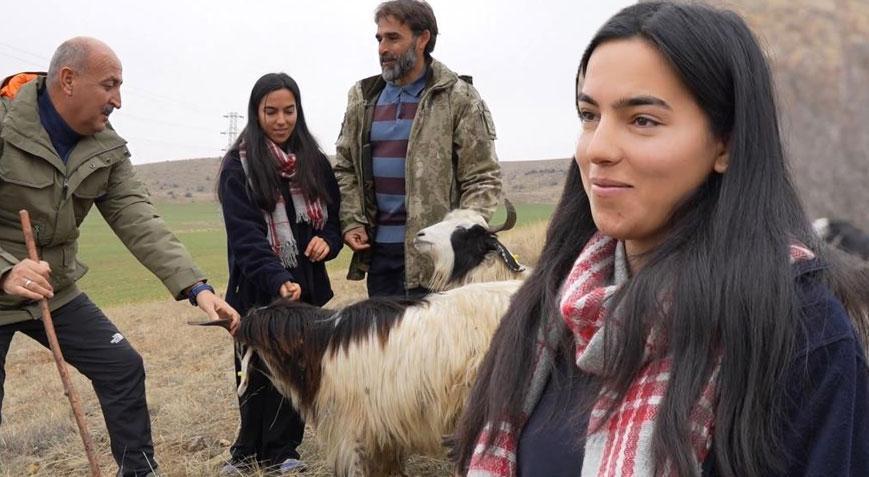 Çobanlık yapan iki üniversite mezunu Emine’nin hayali gerçek oldu