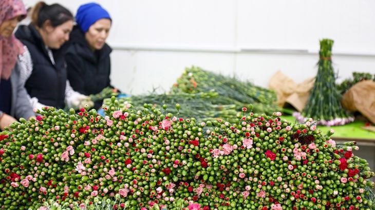 Çiçek ihracatında 2024 hedefi 160 milyon dolar