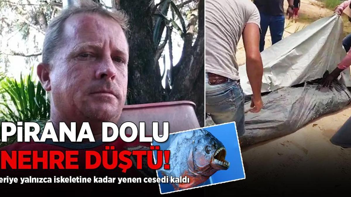 Pirana dolu nehre düştü! Geriye yalnızca iskeleti kalmıştı