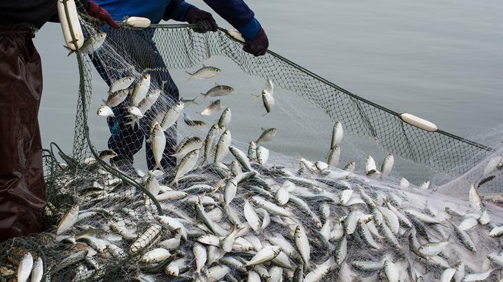Su ürünleri ihracatında 1,7 milyar dolarlık gelir
