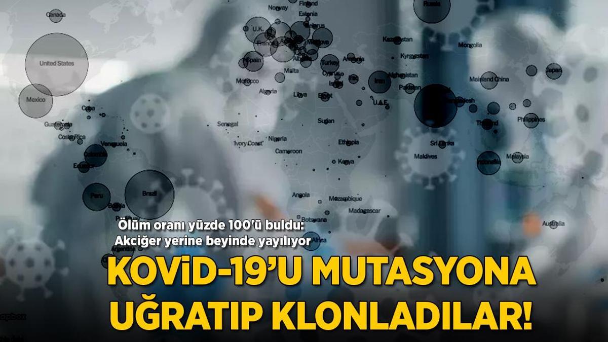 Ölüm oranı yüzde 100’ü gördü: Akciğer yerine beyinde yayılıyor! Kovid-19’u mutasyona uğratıp, klonladılar