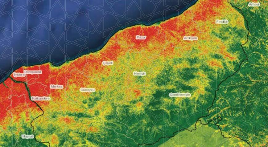 Rize’de tedirgin eden artış! Son 1 yıl içinde 2 kat artarak bin 250’ye ulaştı