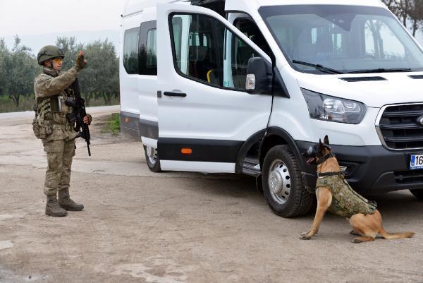 Kahraman köpekler! Eğitimler 3 aylıkken başlıyor