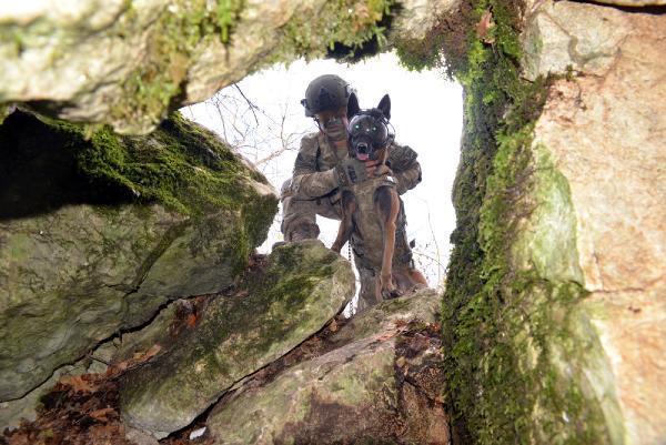 Kahraman köpekler! Eğitimler 3 aylıkken başlıyor