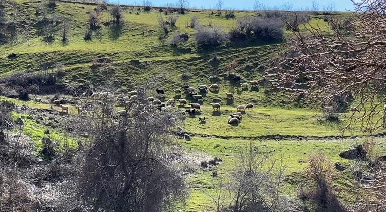 Bir ilçe kışı, diğeri baharı yaşıyor! Eksi 32,9'u gördü Türkiye’nin en soğuk yeri oldu