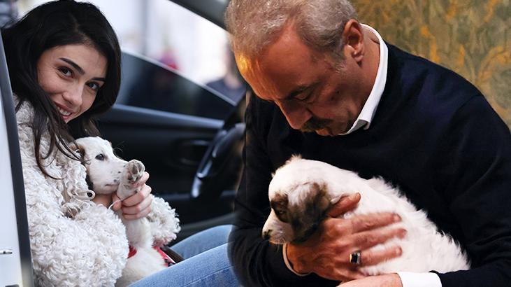 Yılmaz Erdoğan, ‘İnci Taneleri’nin sevimli dostu sahipsiz Coci’yi sahiplendi!