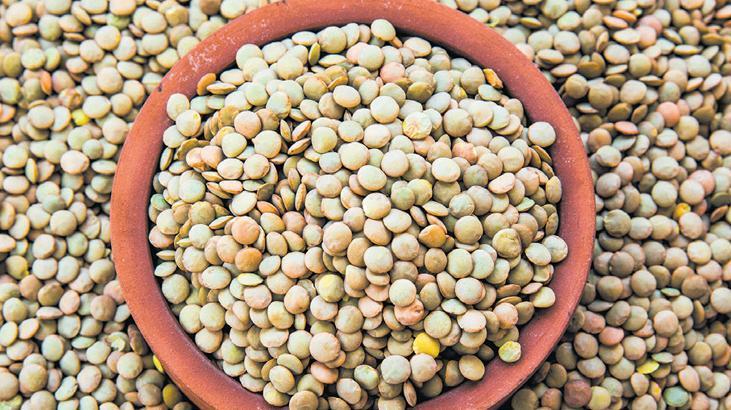 Mercimek gelecek ama gidemeyecek!