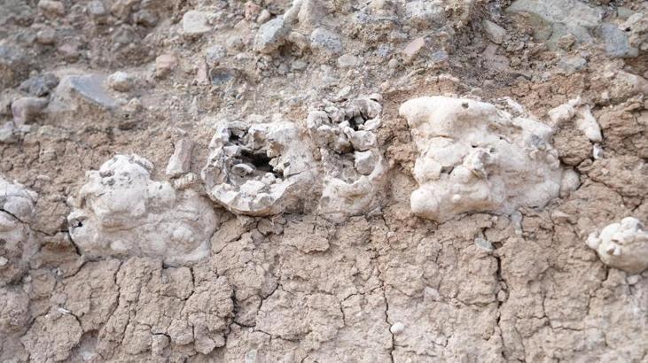 Dinozor fosili sanılmıştı! Niğde’de gerçek ortaya çıktı