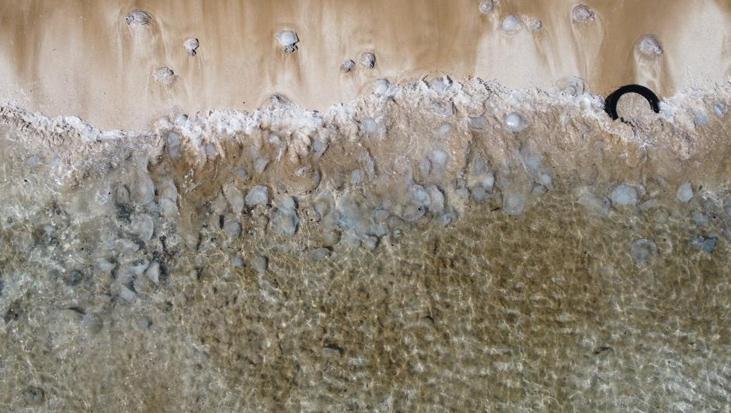 Sahilde şaşırtan manzara! ‘İnşallah bir şeyin habercisi değildir’