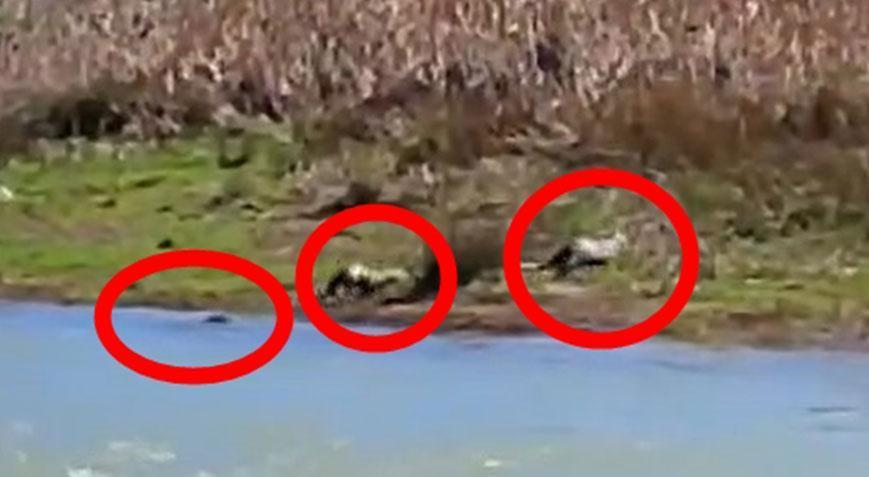 Heyecanlandıran detay! 3’ü yan yana görüntülendi