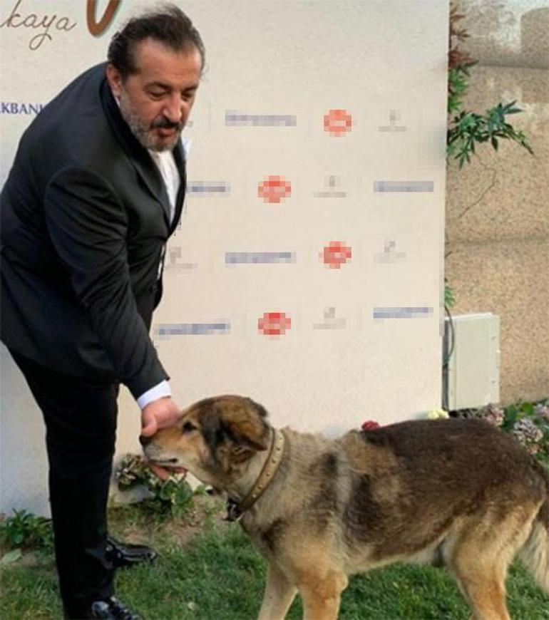 Mehmet Yalçınkaya'dan yürek yakan baba itirafı! 'Rüyamda görmek için yalvarıyorum'