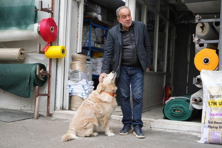 Köpek havladı, 700 bin TL'si gitti: Benimle alakası yok, başıma gelmeyen kalmadı