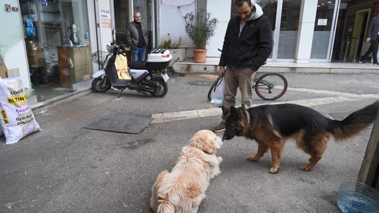 Köpek havladı, 700 bin TL'si gitti: Benimle alakası yok, başıma gelmeyen kalmadı