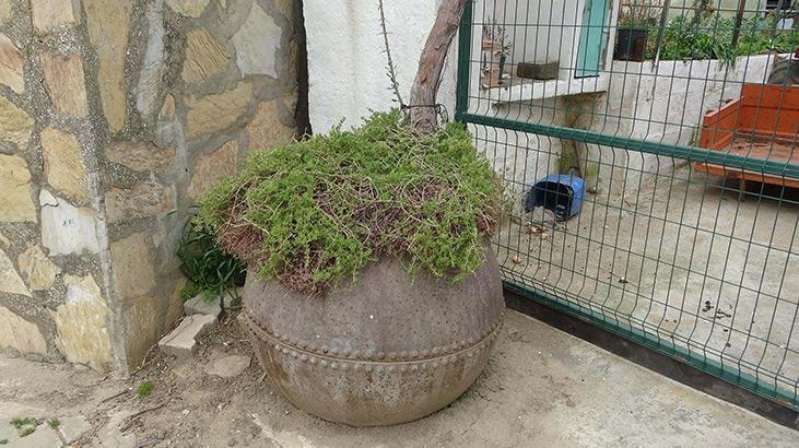 Savaşın izleri! İngilizler bıraktı, Çanakkale'de iki köy baştan kuruldu