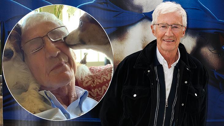 Ünlü komedyen servetini fillere, orangutanlara ve köpeklere bıraktı!