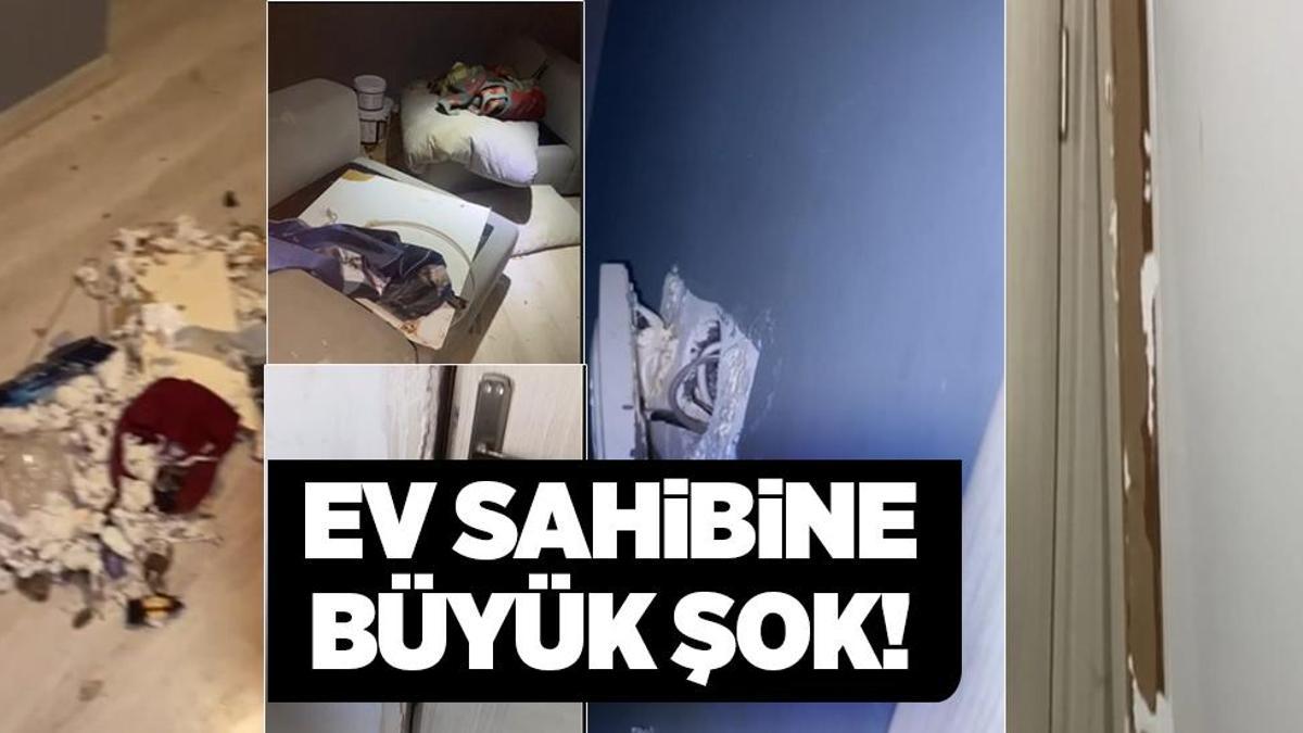İstanbul’da ev sahibini şoke eden manzara! Kokudan evi boşaltamadılar