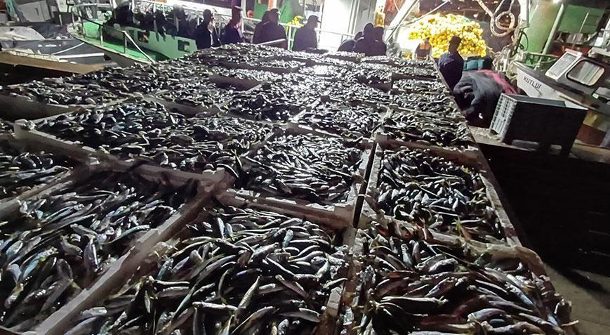 Kaçak avlanmış tam 8 ton istavrit balığı ele geçirildi