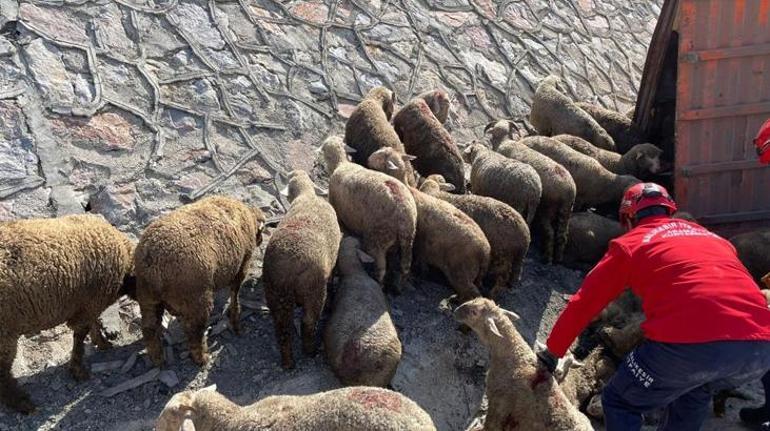 Balıkesir'de korkunç kaza! 1 kişi öldü, 2 kişi yaralandı, 52 koyun da telef oldu