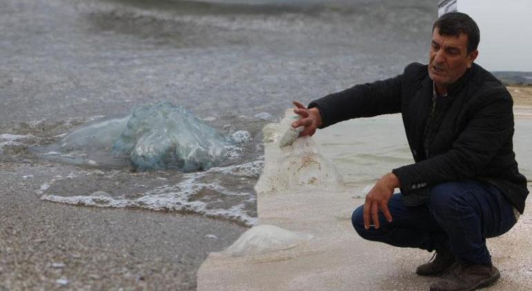 Sahillerde korkutan manzara! İstilası devam ediyor