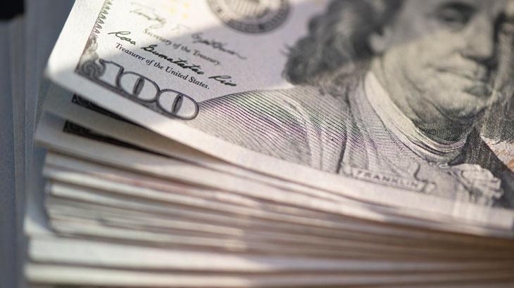 ABD’li bankadan dolar tahmini: 30 liraya gerileyecek!