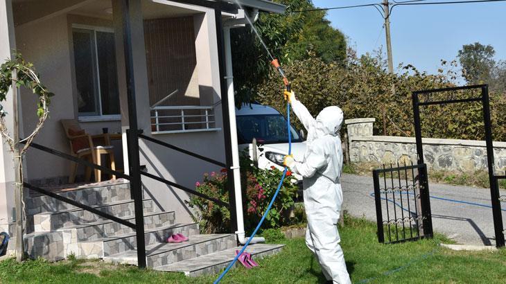 Kahverengi kokarca ile mücadele sürüyor: 40 bin noktada ilaçlama yapıldı